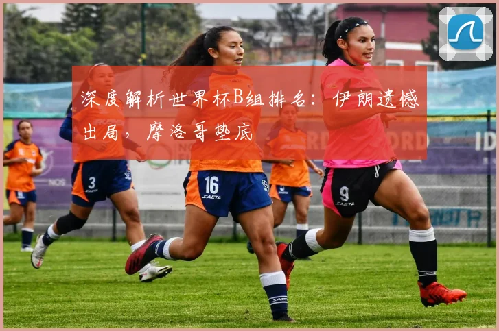 深度解析世界杯B组排名：伊朗遗憾出局，摩洛哥垫底