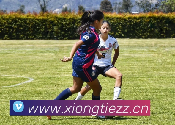 mksports官方平台生态图